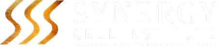 Synergy Logo